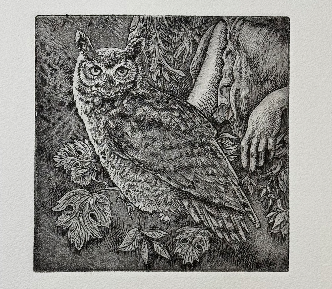 Athena's Owl - Kathy Anderson